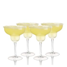 Sorbo Margarita Glasses, Set of 4 by True